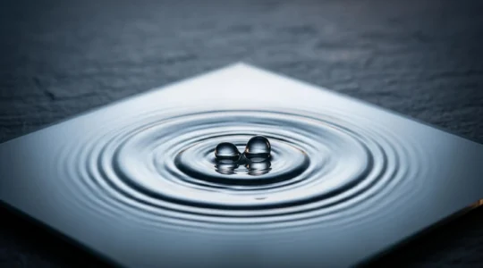 Gestion documentaire d'un sinistre d'eau en copropriété avec représentation symbolique des responsabilités partagées